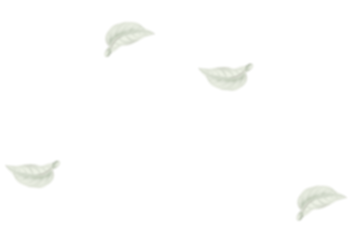 натуральная косметика, магазин профессиональной косметики, крем для ног, крем для ног с мочевиной, крем для ног купить, масло для ногтей, масло монарды для ногтей, масло для ногтей купить, косметика для ногтей, дезодорант для ног