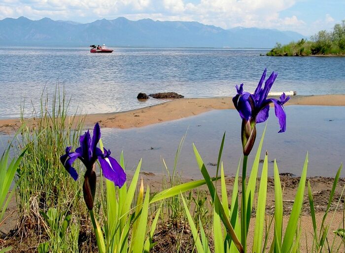 Весна на байкале фото