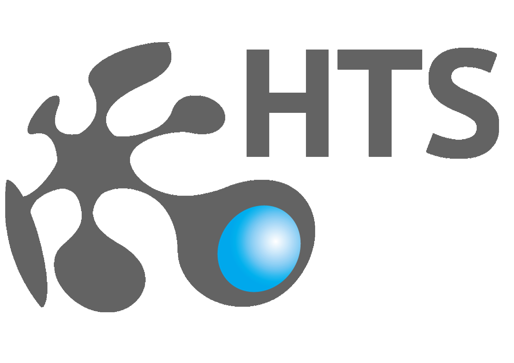Projects HTS