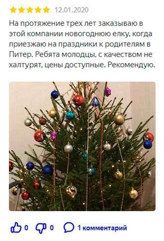 Купить живую елку в СПБ – Петроёлки.ру