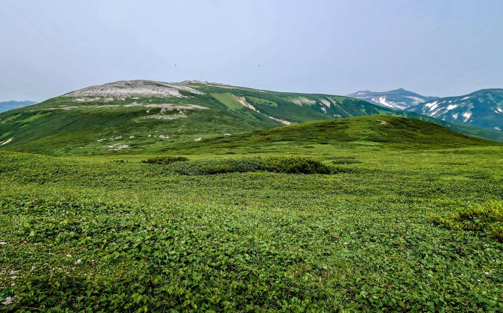 лето на Камчатке