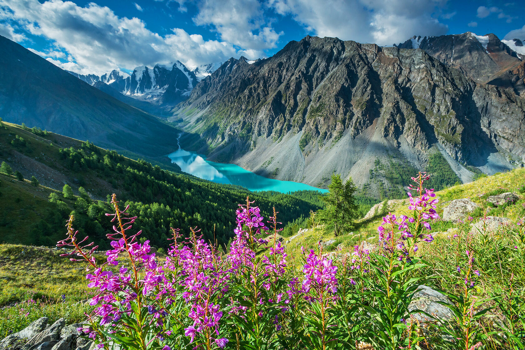 Алтай летом фото