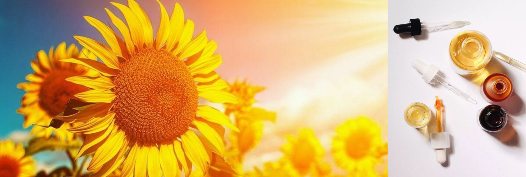 Косметические препараты на фоне летних подсолнухов