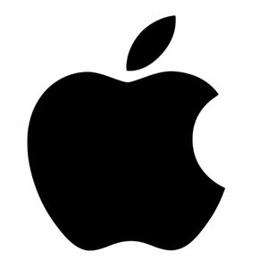 website icon