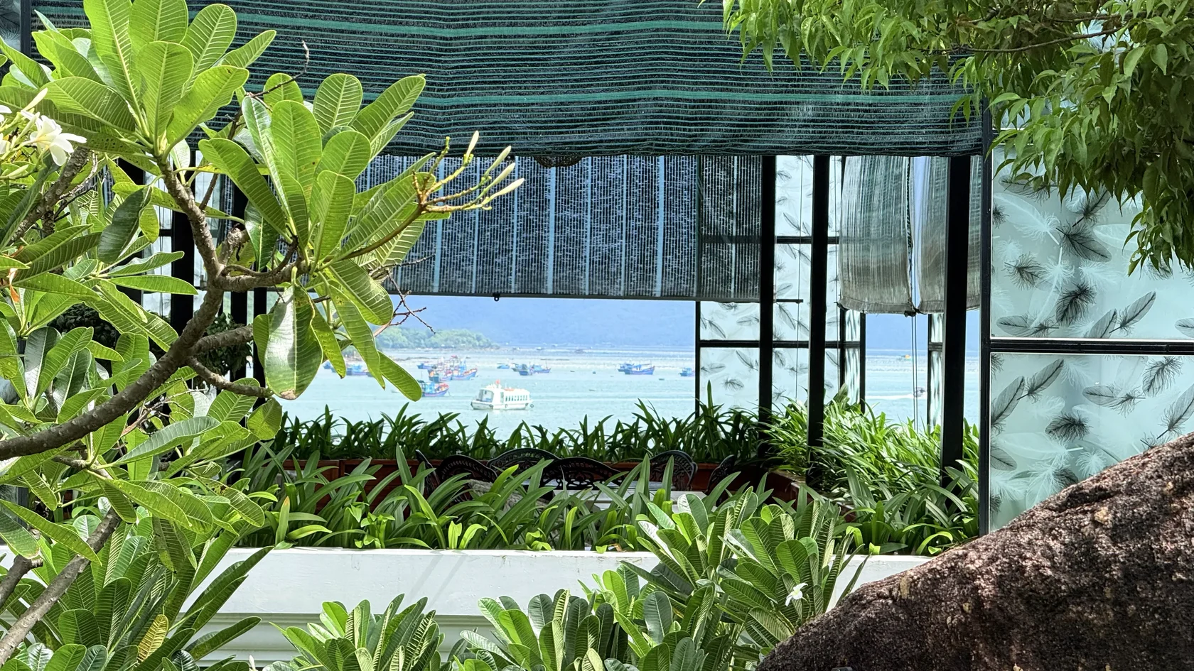 Green Oasis