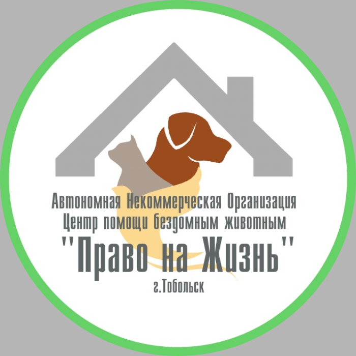  Наши реквизиты 