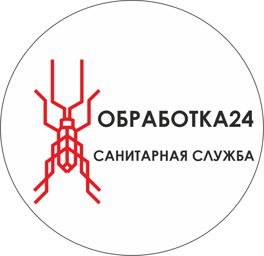 Обработка24