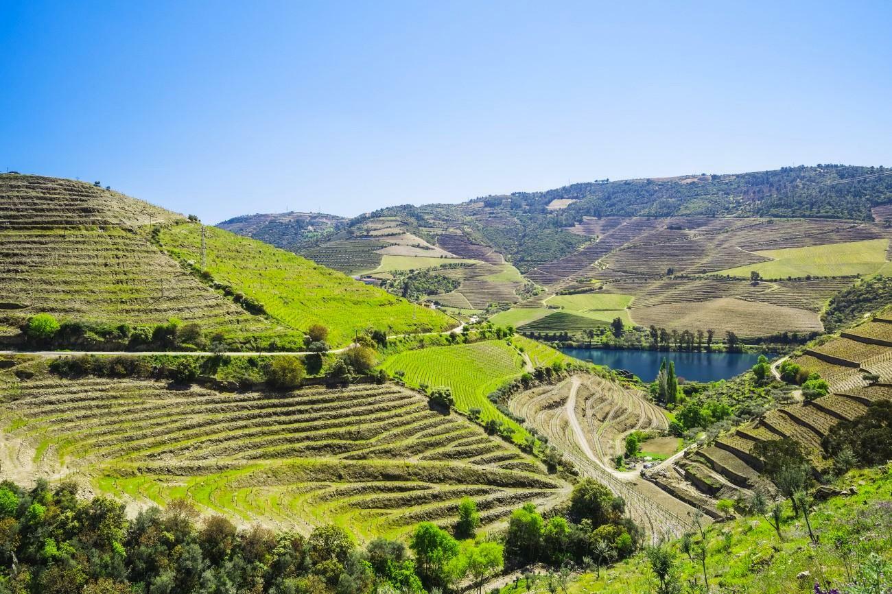 Penedes wine tour from Barcelona | Casamiga Events
