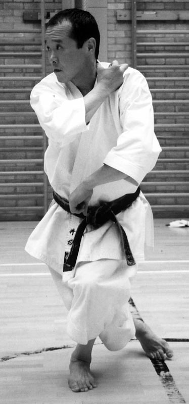 Семинар Акихито Исака в Уэльсе 2004