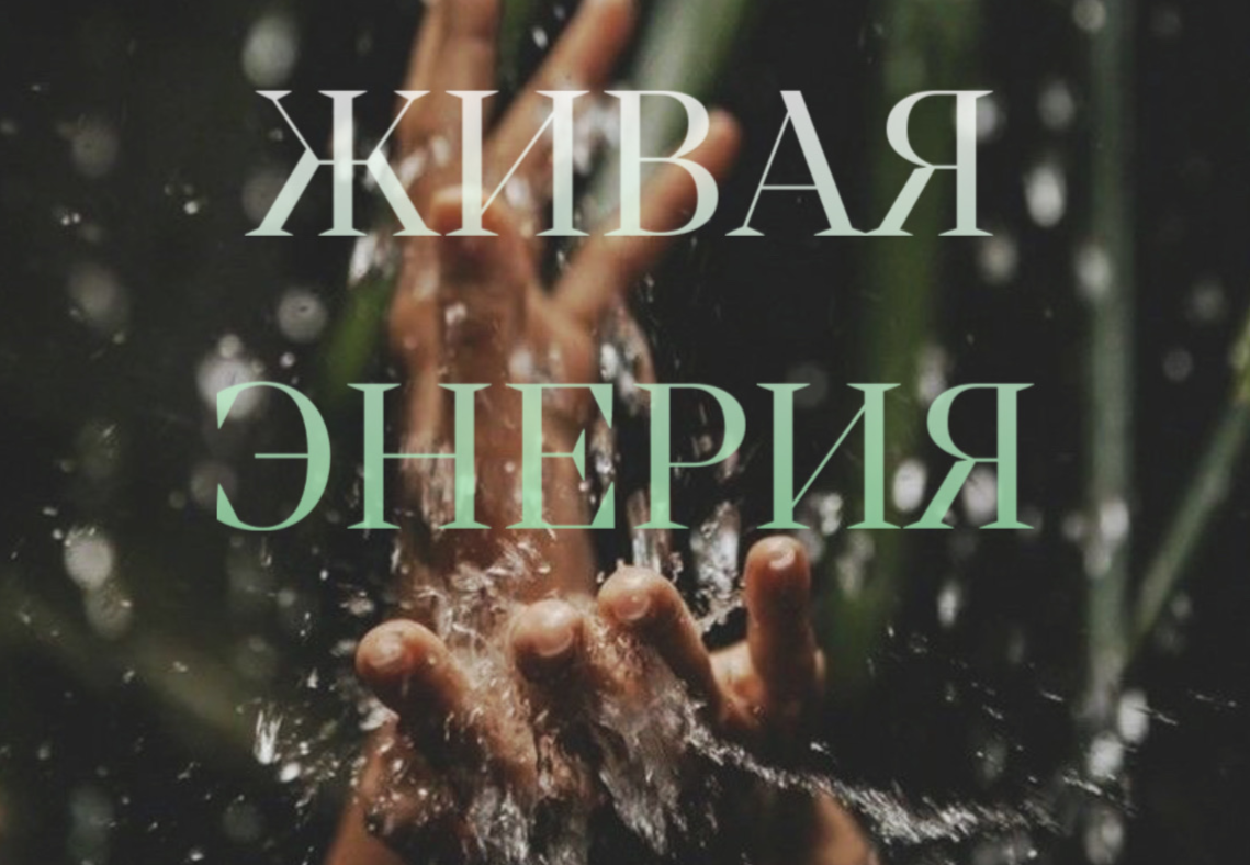 В твоих ладонях