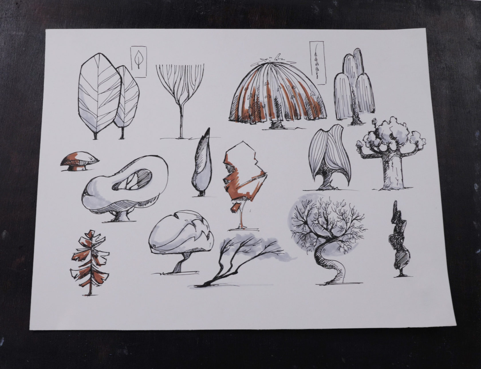 стилизация курс. стилизация курс. графическая композиция. растительные формы в бионике. стилизация растений грэхем лесли.