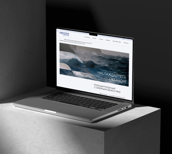Мокап Сайт «Аврора Бореалис»