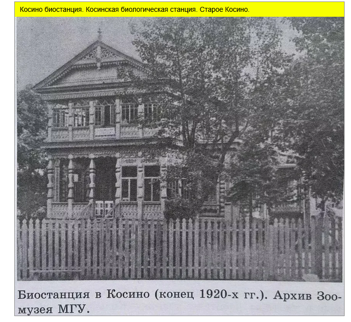 Село Косино