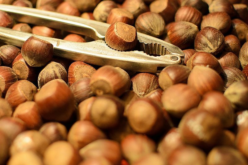 Практикумы Exam Skills Cracker