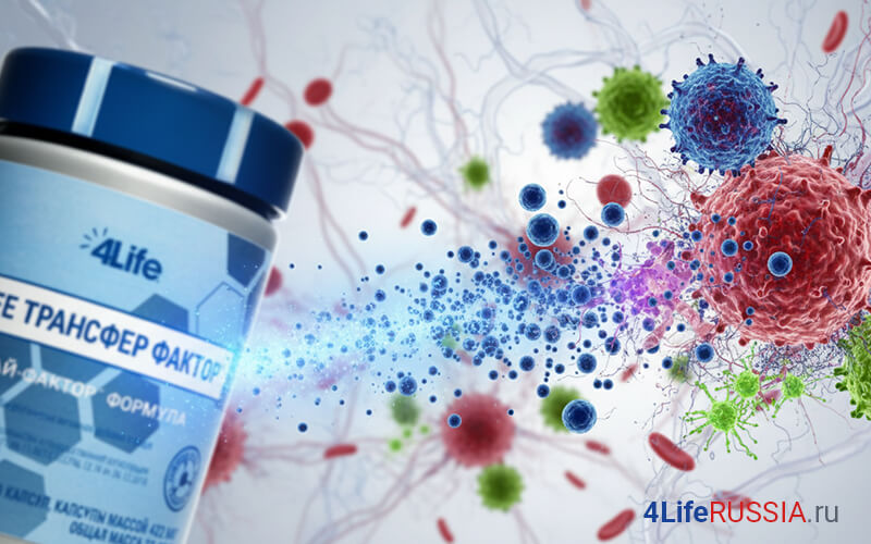 4Life Transfer Factor Tri-Factor Formula: банка продукта на фоне иммунных клеток и микромира, символизирующих клеточный иммунитет (CMI), Т- и NK-клетки и иммунный надзор.