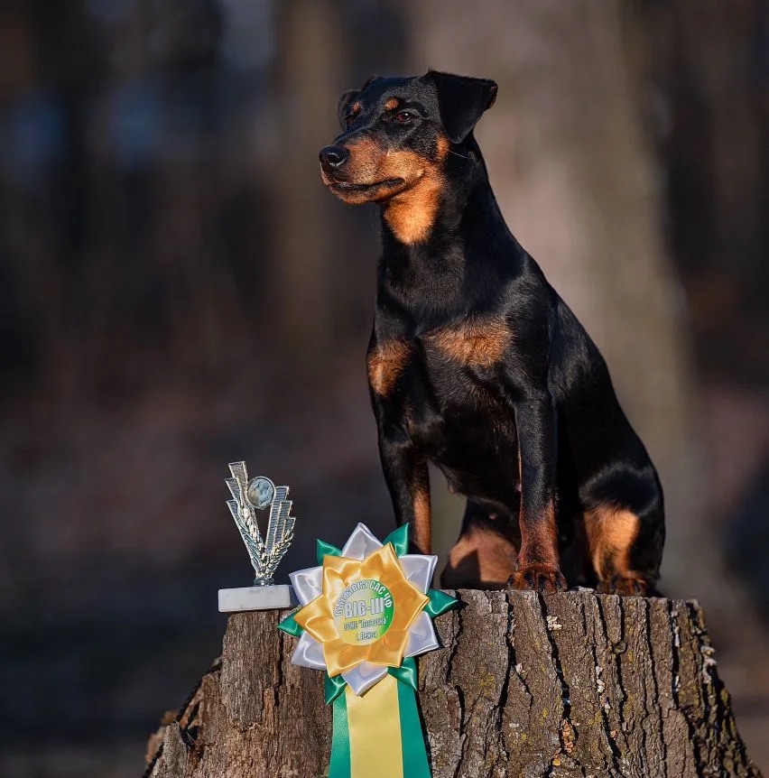 Акбеон Уорра BIG -3