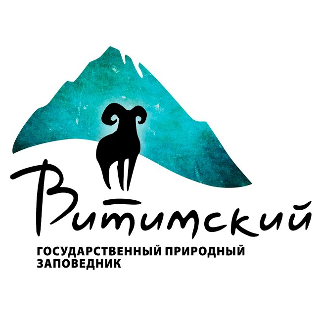 Логотип заказчика студии Камелот 2
