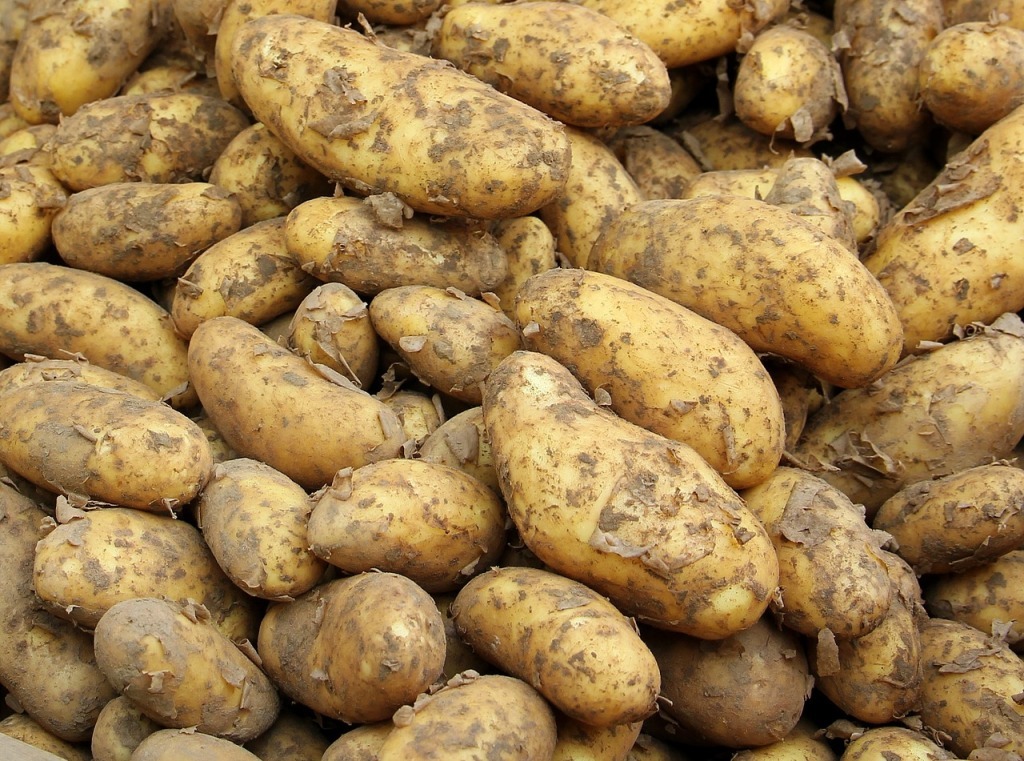 Полезные свойства картофеля: для здоровья и красоты
