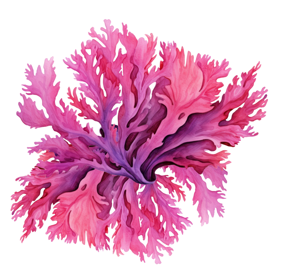 натуральная косметика, магазин профессиональной косметики, крем для ног, крем для ног с мочевиной, крем для ног купить, масло для ногтей, масло монарды для ногтей, масло для ногтей купить, косметика для ногтей, дезодорант для ног