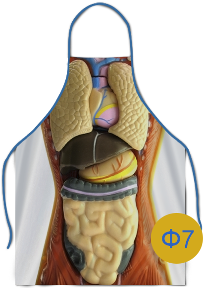 вариант печати фартука ф7