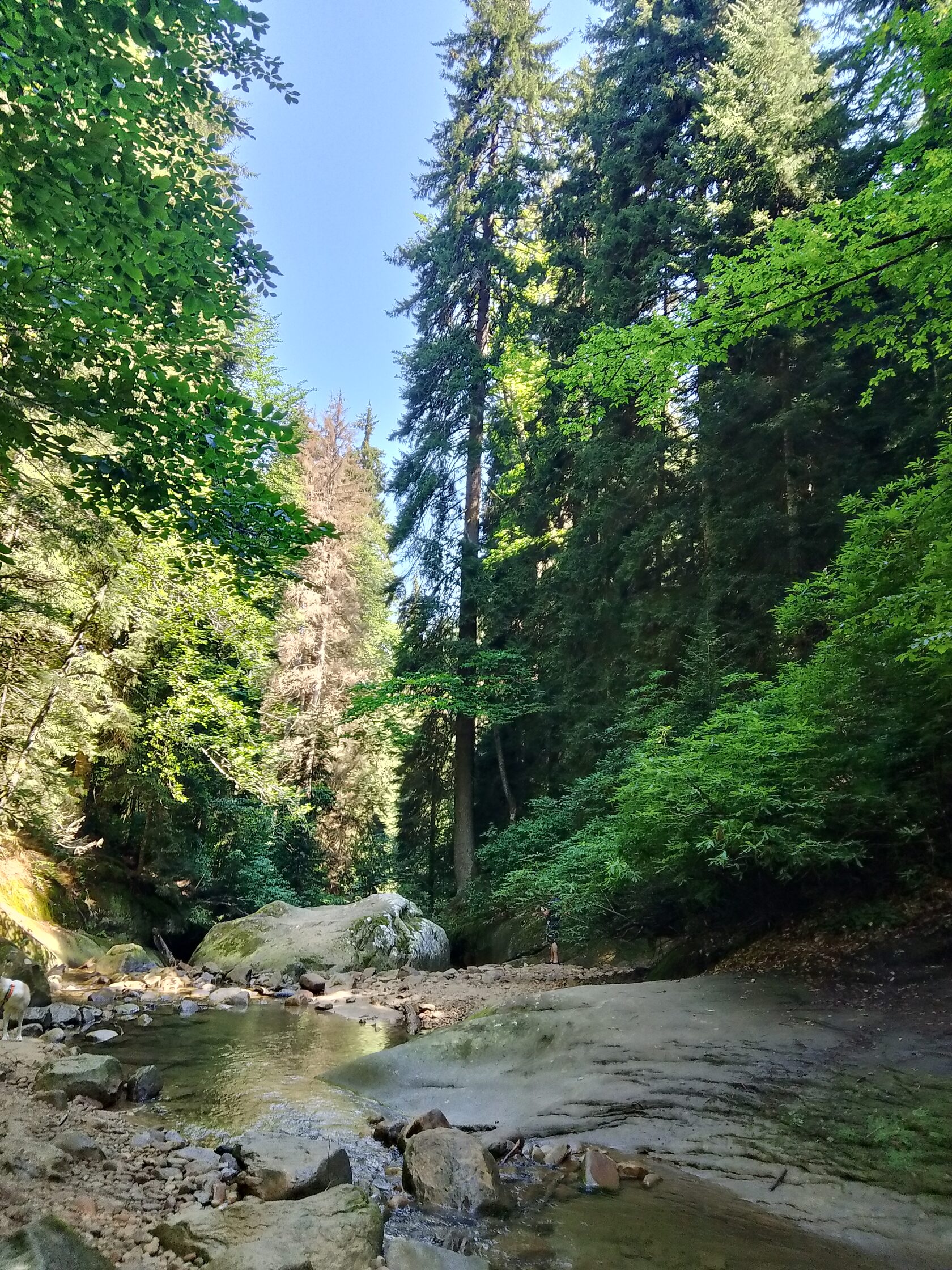 Mountain Silence