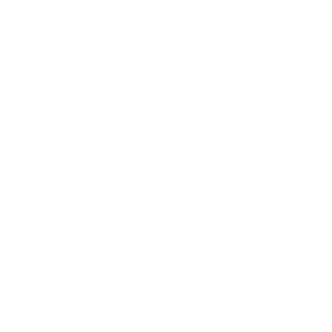 Логотип франшизы автосервиса FIT SERVICE