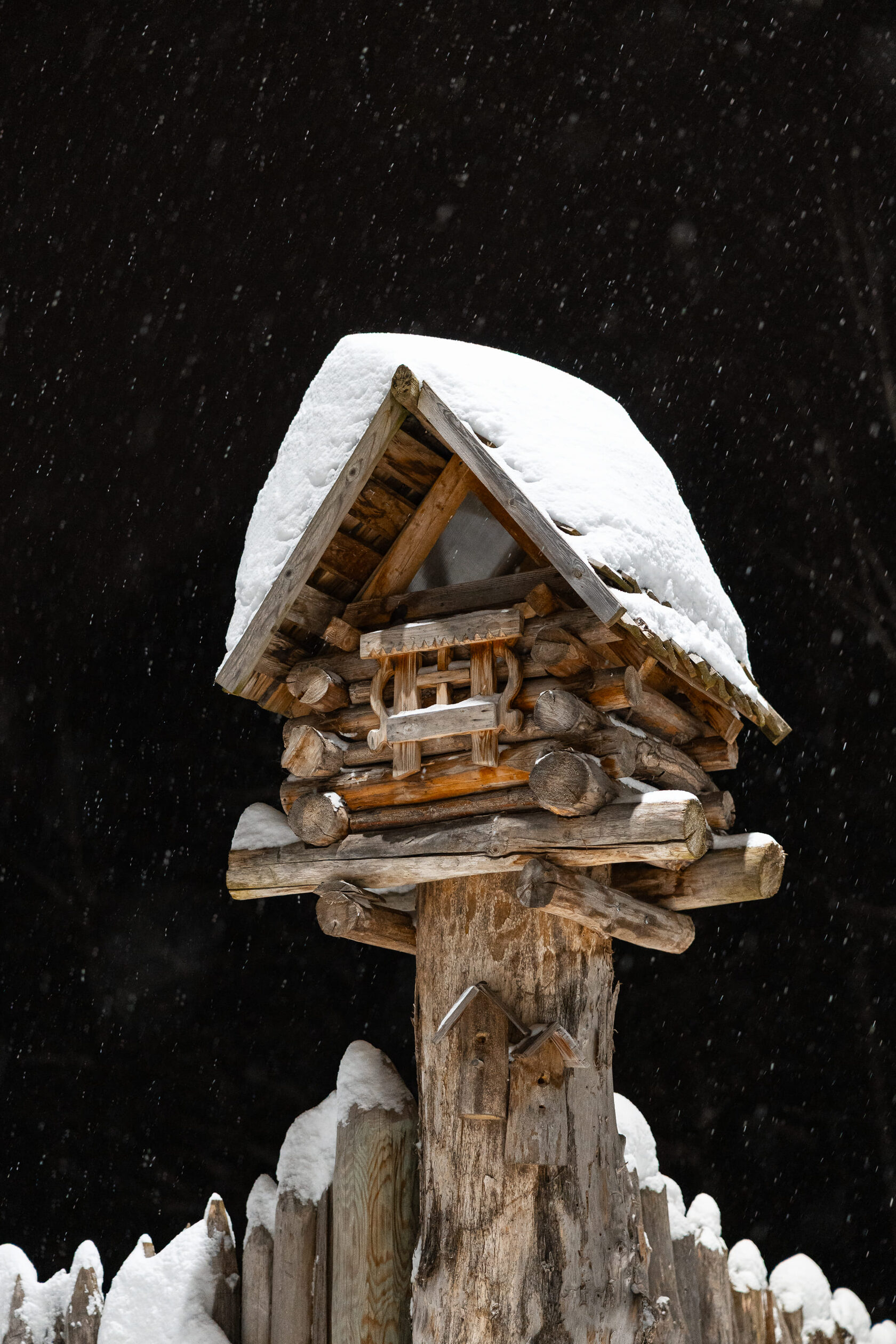 Photo 4