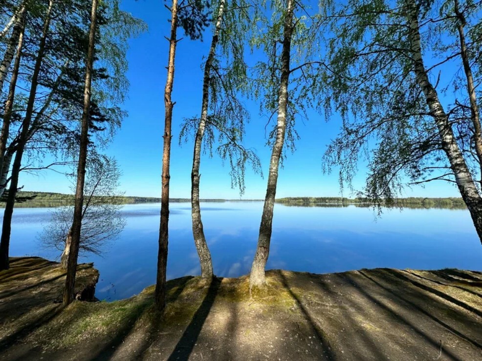 СЕЗОН НИЗКИХ ЦЕН!