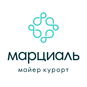 website icon