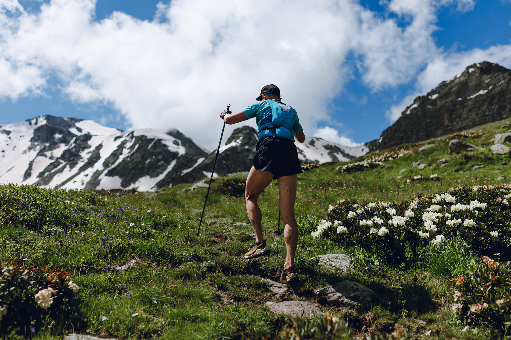 Архыз вилд Трейл. Архыз Трейл 2024. Архыз ультра Трейл 2024. Архыз Wild Trail logo.