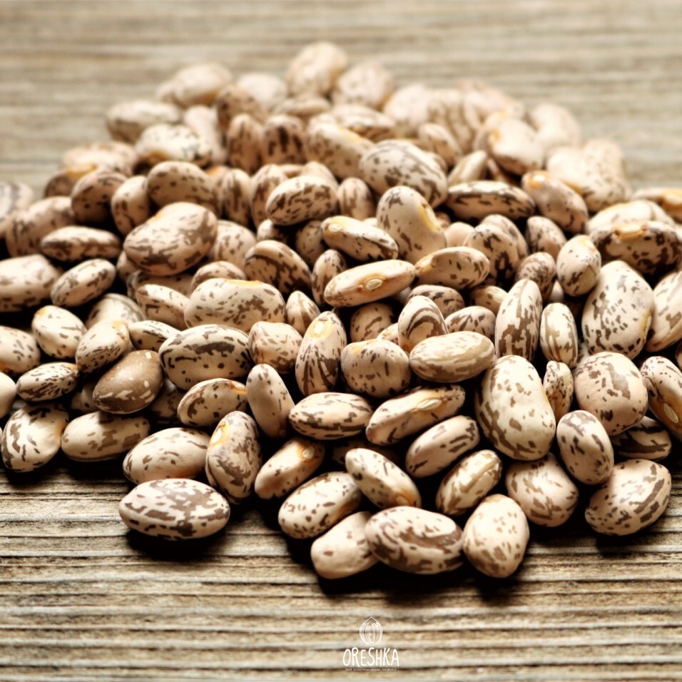 Seeds of marron beans (Phaseolous vulgaris) — 20 pcs