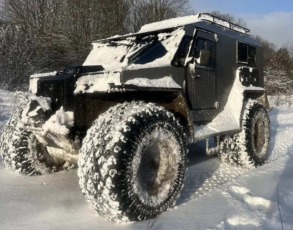 Финист в снегу