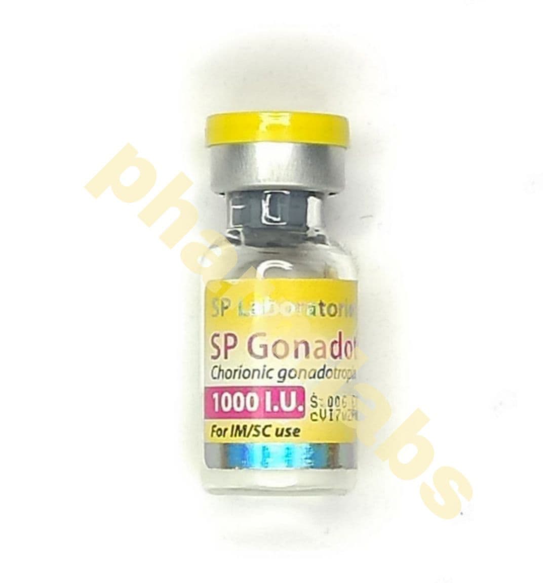 GONADOTROPIN / Гонадотропин (HCG) Дозировка: 1000 IU/VIAL Производитель: SP...