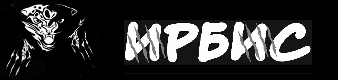 "ИРБИС".