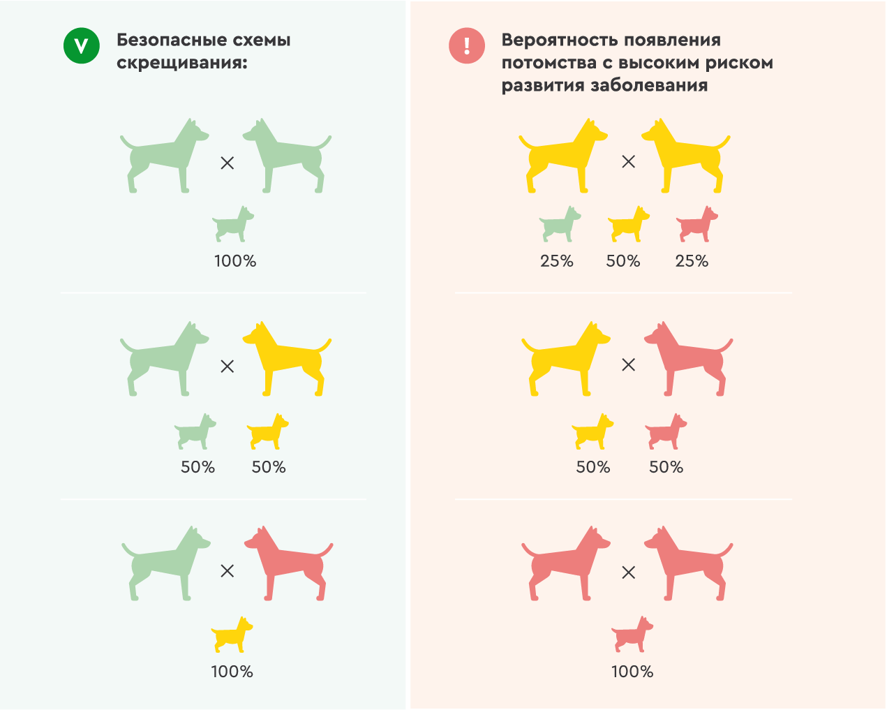 Рецессивные признаки животных