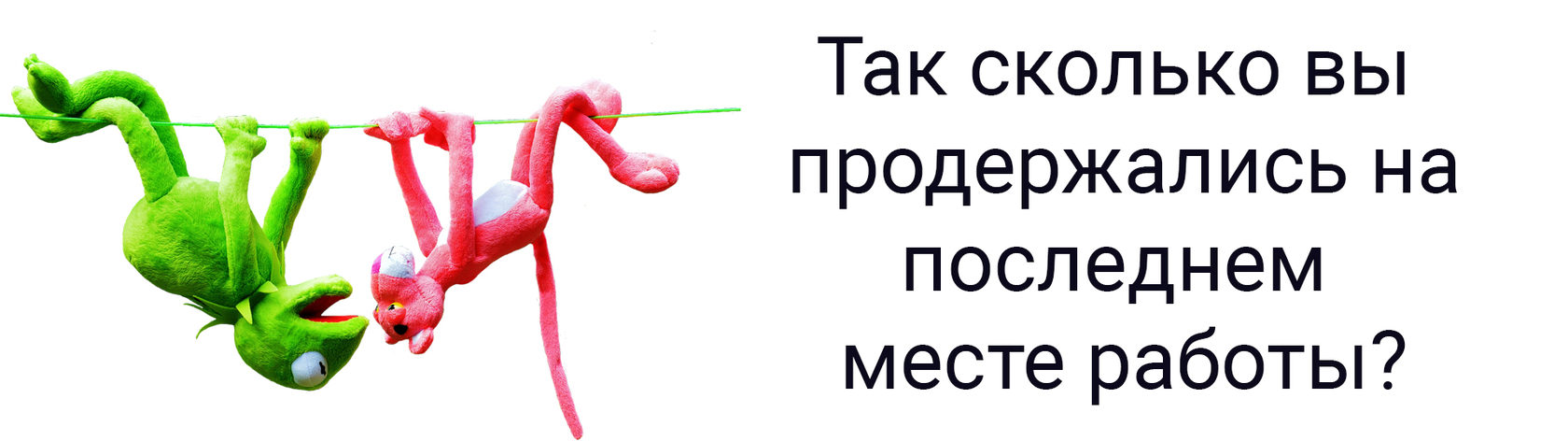 Советы главному бухгалтеру по составлению успешного резюме, а также  проверенный алгоритм, как устроить себе вселенский облом при поиске работы