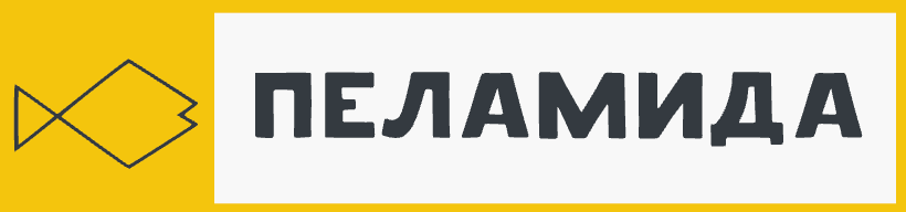 Company