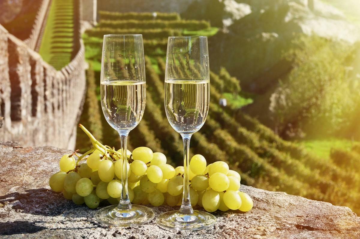 Spanish wine tasting in Barcelona | Casamiga Events