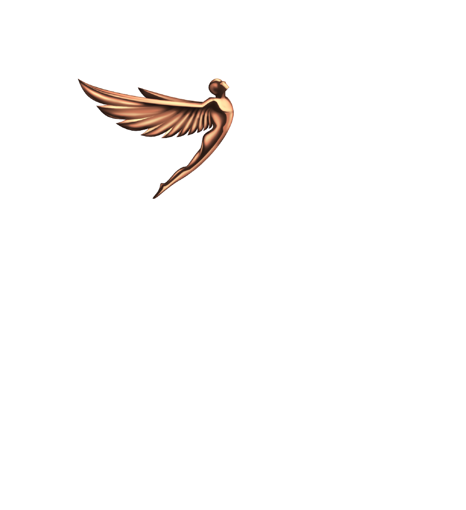 Переговоры для первых лиц