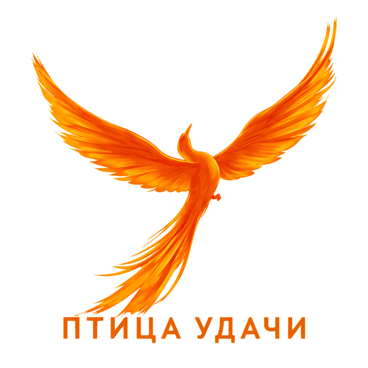 СИНЯЯ ПТИЦА
