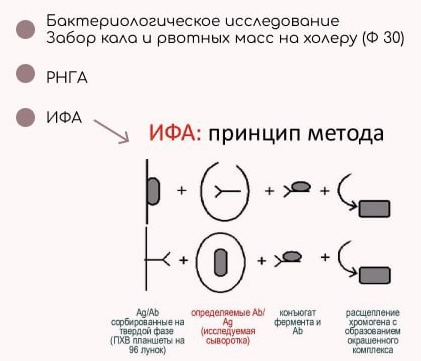 Диагностика холеры | Sechenov Universkill