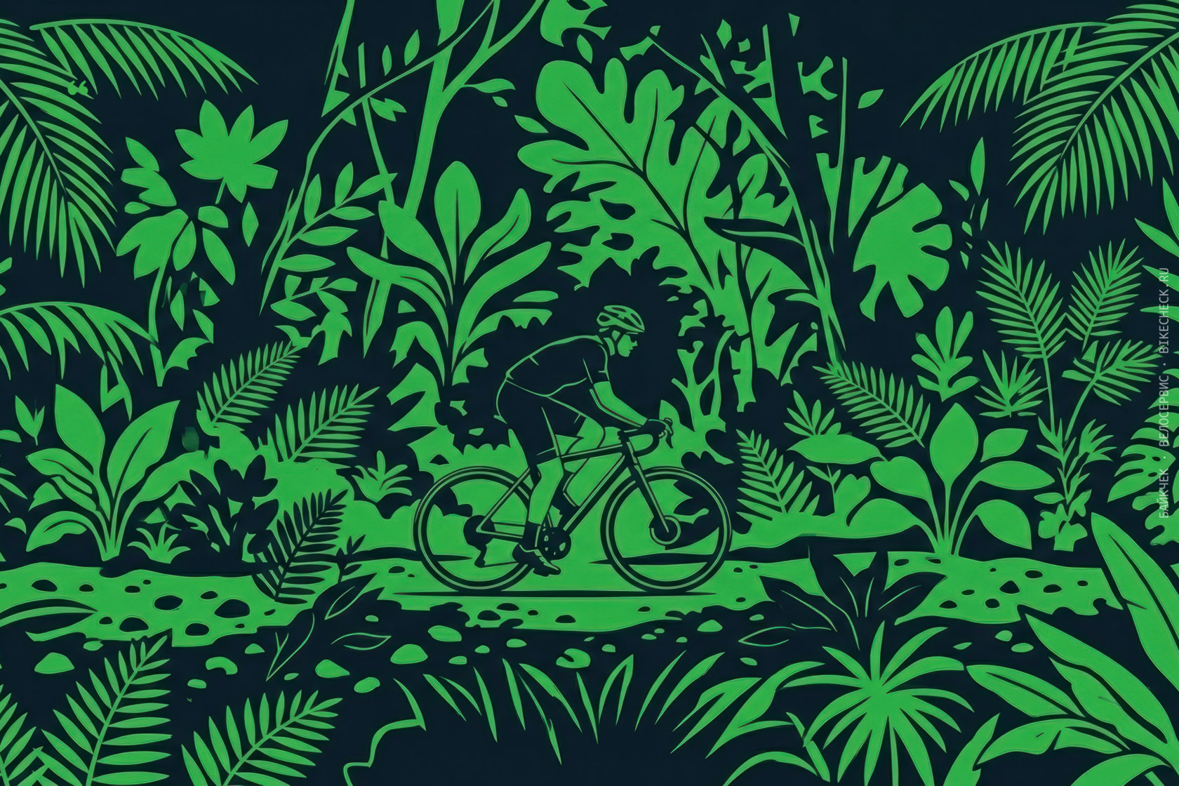Иллюстрация: велосипедист едет по лесной тропе среди густых зелёных растений