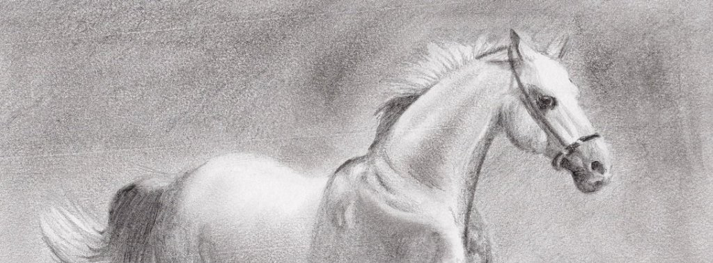как нарисовать лошадь сложно карандашом | Дзен