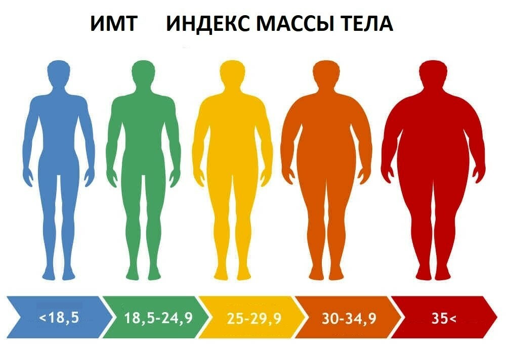 Фигуры роста. Индекс массы тела. Избыточная масса тела. Ожирение.