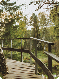 Трассы для пеших прогулок
