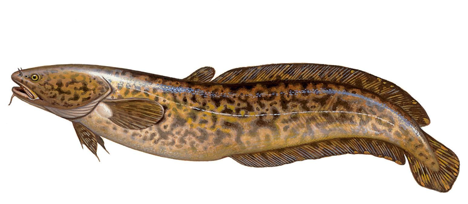 рыбалка в астрахани, рыбалка в астрахани сейчас, рыбалка в астрахани в апреле, рыбалка в астрахани зимой, рыбалка в астрахани весной, рыбалка в астрахани в январе, рыбалка в астрахани базы, рыбалка в астрахани апрель, рыбалка в астрахани авито, рыбалка в астрахани в апреле, рыбалка в астрахани август, рыбалка в астрахани в апреле отзывы, рыбалка в астрахани в августе отзывы, астрахань рыбалка в апреле, рыбалка в астрахани цена, рыбалка в астрахани базы эконом, зимняя рыбалка в астрахани базы, рыбалка в астрахани что брать с собой, рыбалка в астрахани лучшие базы, большая рыбалка в астрахани, рыбалка в астрахани базы отдыха, рыбалка в астрахани вк, рыбалка в астрахани в марте, рыбалка в астрахани в мае, рыбалка в астрахани в апреле 2022 года, рыбалка в астрахани в октябре, рыбалка в астрахани в сентябре, рыбалка в астрахани в августе, рыбалка в астрахани в ноябре, рыбалка в астрахани в июне, рыбалка в астрахани где остановиться, рыбалка в астрахани 2022 год, рыбалка в астрахани с проживанием, рыбалка в астрахани домики, рыбалка в астрахани недорого, рыбалка в астраханской области, рыбалка в астрахани с егерем, рыбалка в астрахани летом, зимняя рыбалка в астрахани, рыбалка зимой в астрахани, зимняя рыбалка в астраханской области, рыбалка в астрахани июль, рыбалка в астрахани и отдых, рыбалка в астрахани в июле 2022, рыбалка в астрахани в конце июля, отдых и рыбалка в астрахани, рыбалка и охота в астрахани, охота и рыбалка в астрахани, отдых и рыбалка в астрахани частный сектор, охота и рыбалка в астраханской области, рыбалка в астрахани цены, рыбалка в астрахани когда лучше, рыбалка в астрахани куда поехать, рыбалка в астрахани камызякский район, рыбалка в астрахани купить тур, рыбалка астрахань вконтакте, рыбалка в астрахани летом и осенью, рыбалка в астрахани летом цены, рыбалка в астрахани лето 2022, рыбалка в астрахани на леща, летняя рыбалка в астрахани, лучшая рыбалка в астрахани, ловля рыбы в астрахани, лучшая рыбалка в астраханской области, рыбалка в астрахани март, рыбалка в астрахани март 2022, рыбалка в астрахани камызяк, рыбалка в астрахани март 2022 года, рыбалка в астрахани места, рыбалка в астрахани май 2022, рыбалка в астрахани на воблу, рыбалка в астрахани на сазана, рыбалка в астрахани сазан, рыбалка в астрахани на майские праздники, рыбалка в астрахани на волге, рыбалка в астрахани на раскатах, рыбалка в астрахани на судака, на рыбалку в астрахань, рыбалка в астрахани отзывы, рыбалка в астрахани осенью, рыбалка в астрахани октябрь, рыбалка в астрахани отели, рыбалка в астраханской области отзывы, о рыбалке в астрахани, рыбалка в астрахани путевка, рыбалка в астрахани на поплавочную удочку, рыбалка в астрахани на поплавок, рыбалка в астрахани с пенсионерами, платная рыбалка в астрахани, рыбалка в астрахани раскаты, рыбалка астрахань раскаты, рыбалка в астраханской области камызякский район, рыбалка в астрахани с берега, рыбалка в астрахани сейчас 2022, рыбалка в астрахани снять домик, рыбалка в астрахани сентябрь, отдых с рыбалкой в астрахани, рыбалка с гидом в астрахани, рыбалка в астрахани с семьей, рыбалка в астрахани туры, рыбалка в астрахани турбазы, рыбалка в астрахани тур, рыбалка в астрахани фото, рыбалка в астрахани в феврале, где хорошая рыбалка в астрахани, рыбалка в астрахани базы цены, рыбалка в астрахани 2022 цены, рыбалка в астрахани в июле 2022, рыбалка в астрахани на щуку, рыбалка в астрахани в этом году, рыбалка в астрахани сегодня, рыбалка в астрахани 2022, рыбалка в астрахани 2022 фото