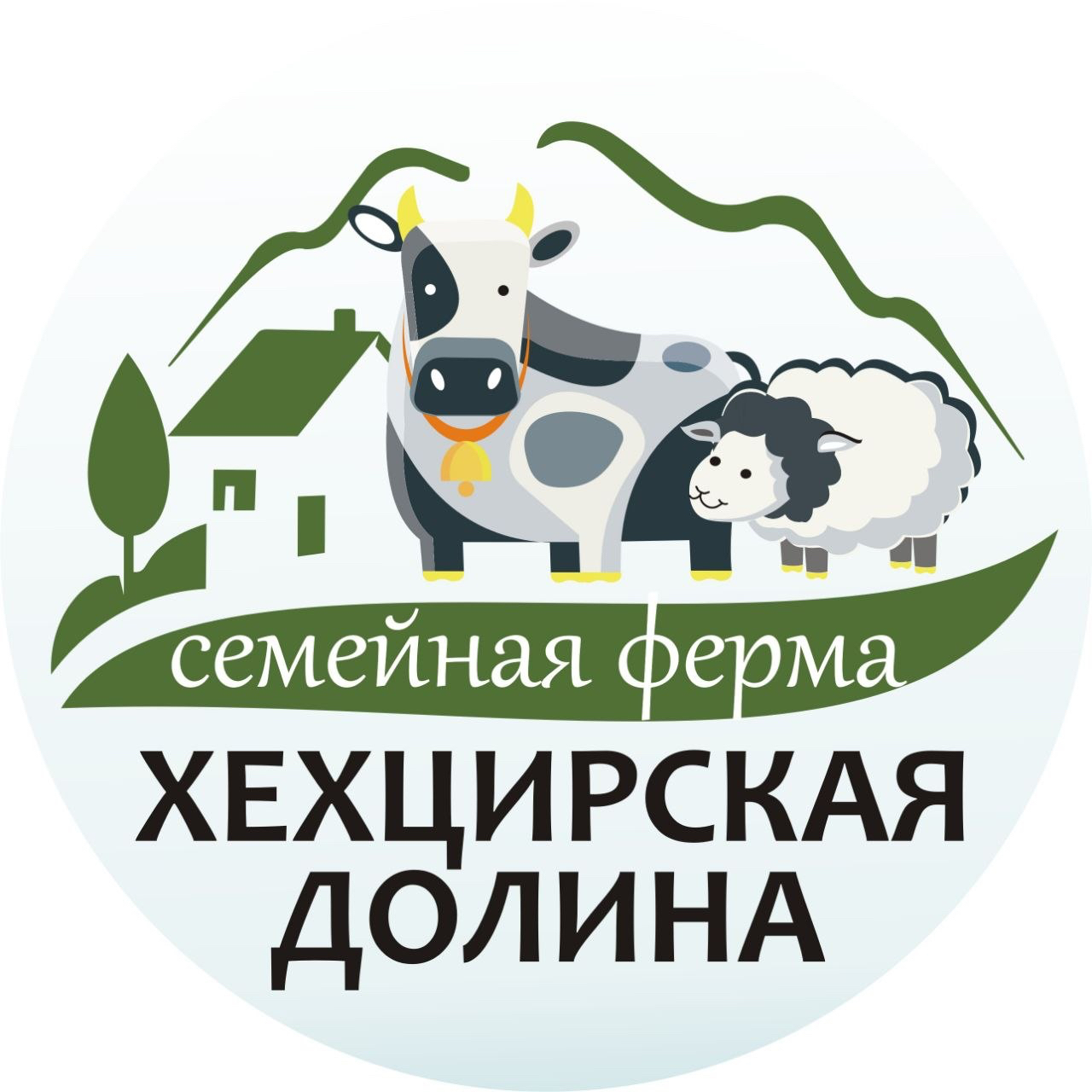 Тренировка бордер-колли