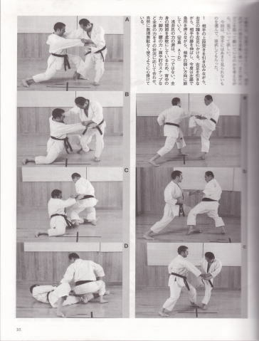 Tetsuhiko Asai, 9 Dan, International Japan Bujutsu Karatedo Association