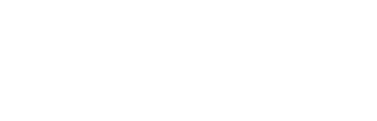 MODULE by BJØRK