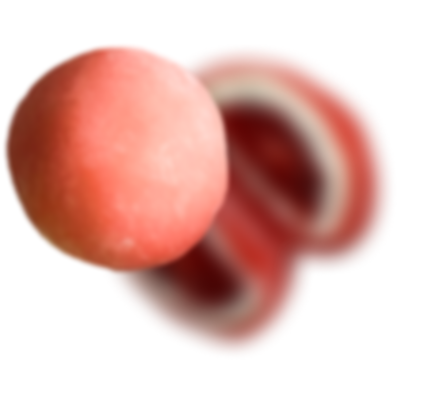 Онлайн-вебинар «Все о Моти»